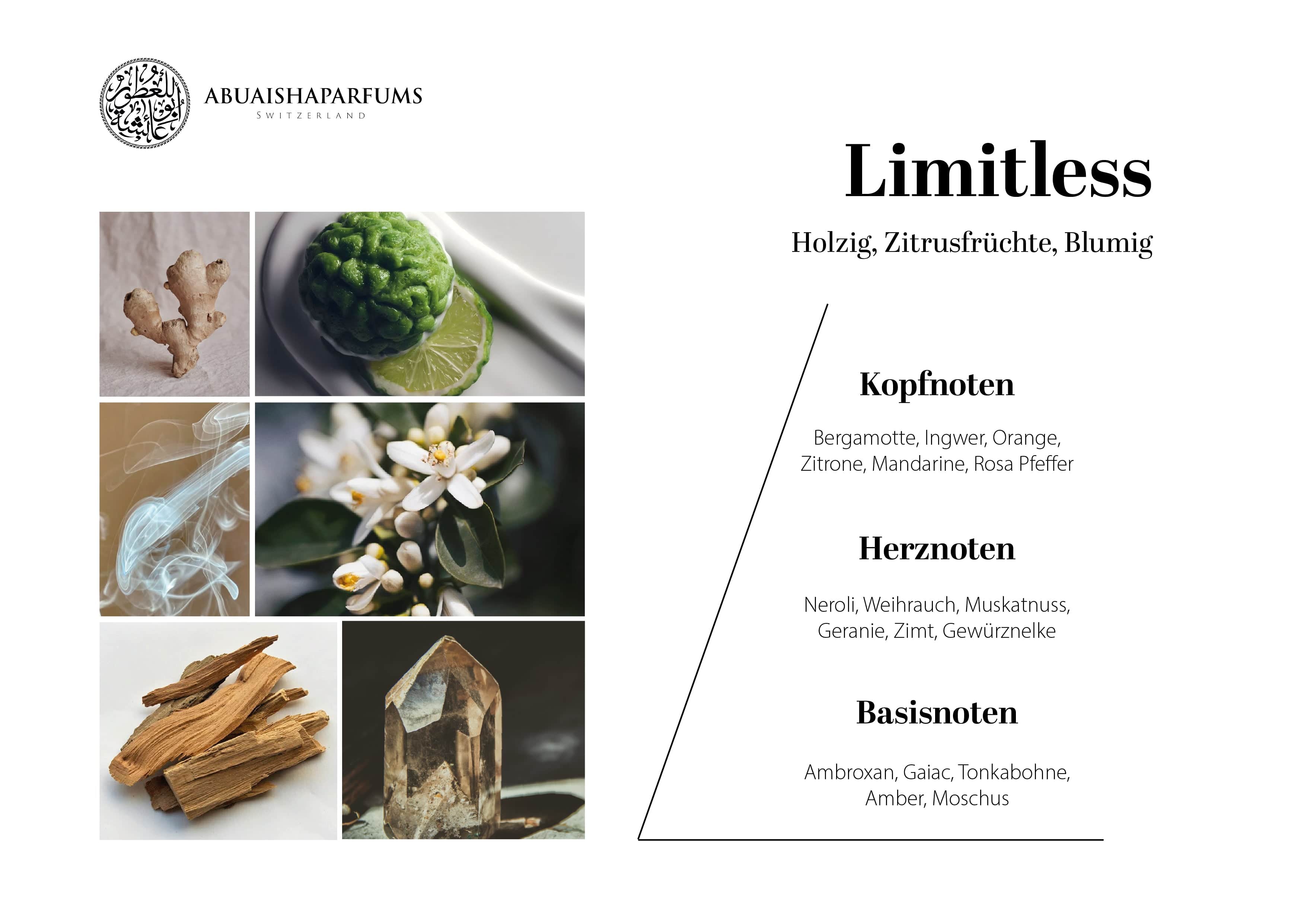 (Vorbestellung 2 Wochen) Limitless